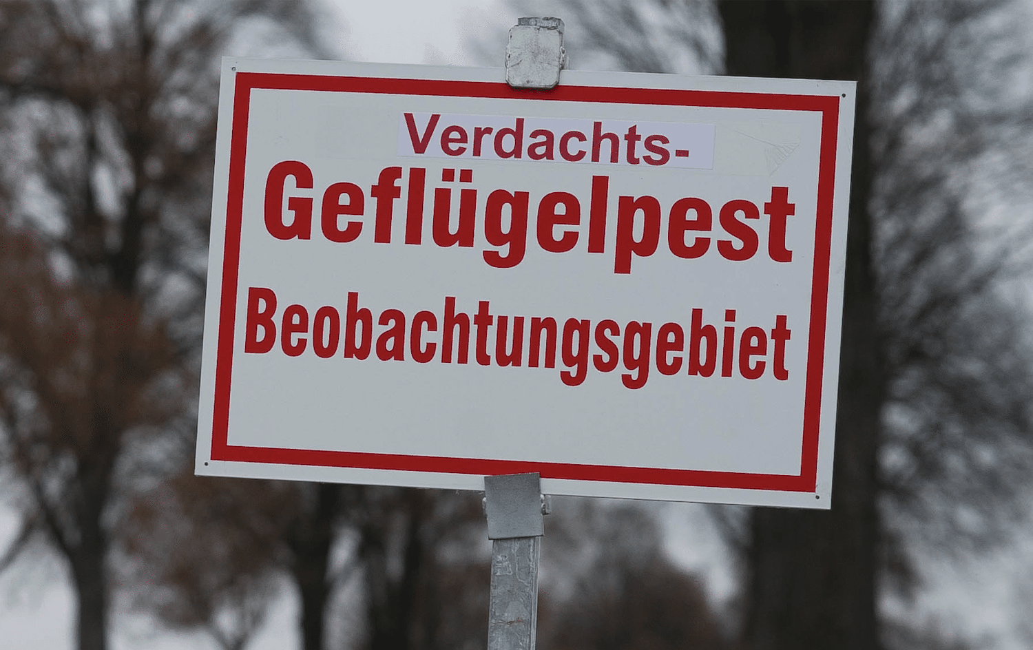 In Deutschland wurden mehrere Landkreise zu Beobachtungs- und Sperrgebieten erklärt. Foto: Landpixel Swen Pförtner