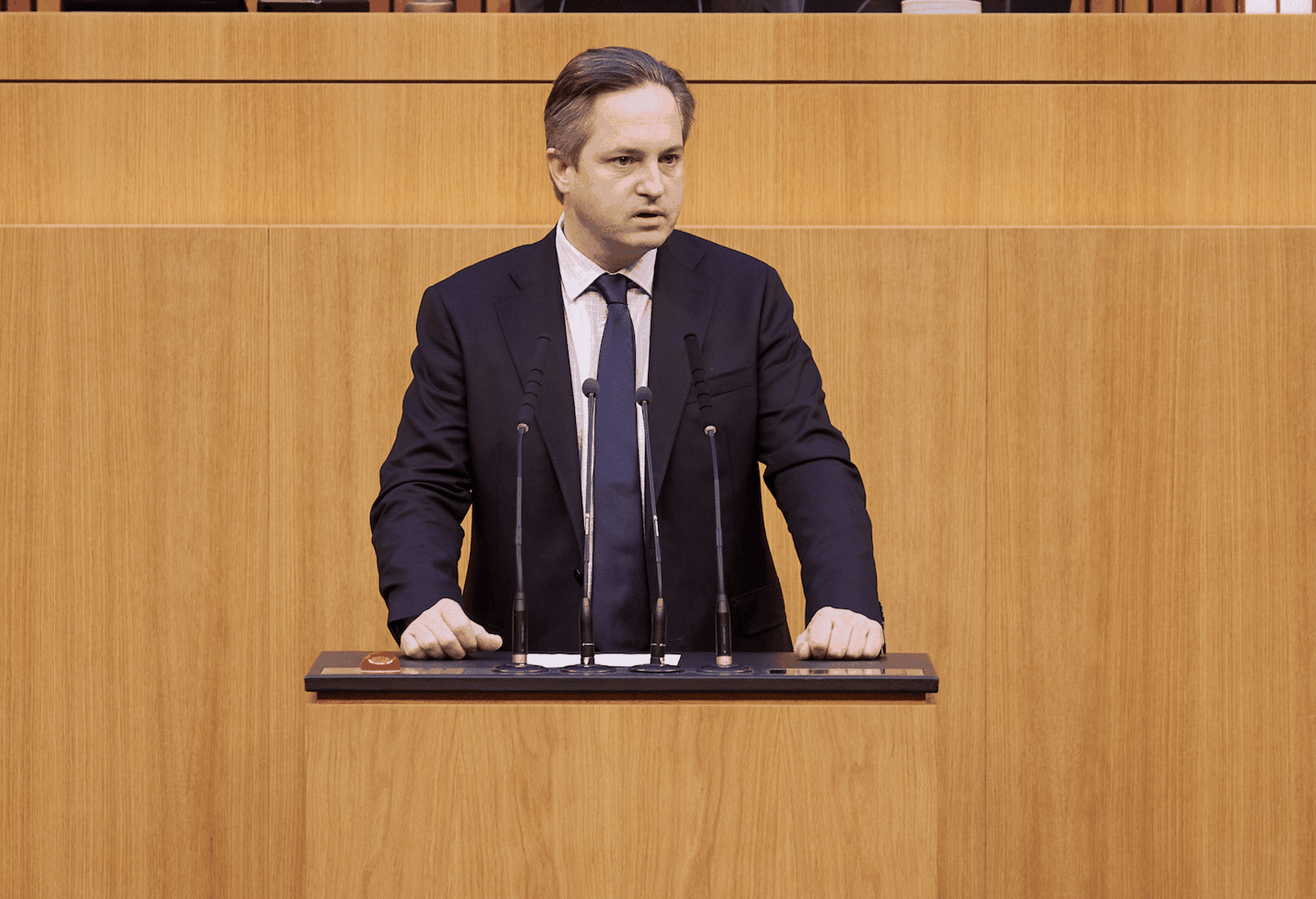 Schmuckenschlager