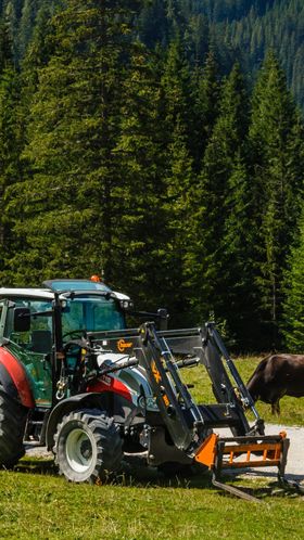 Steyr auf der Alm