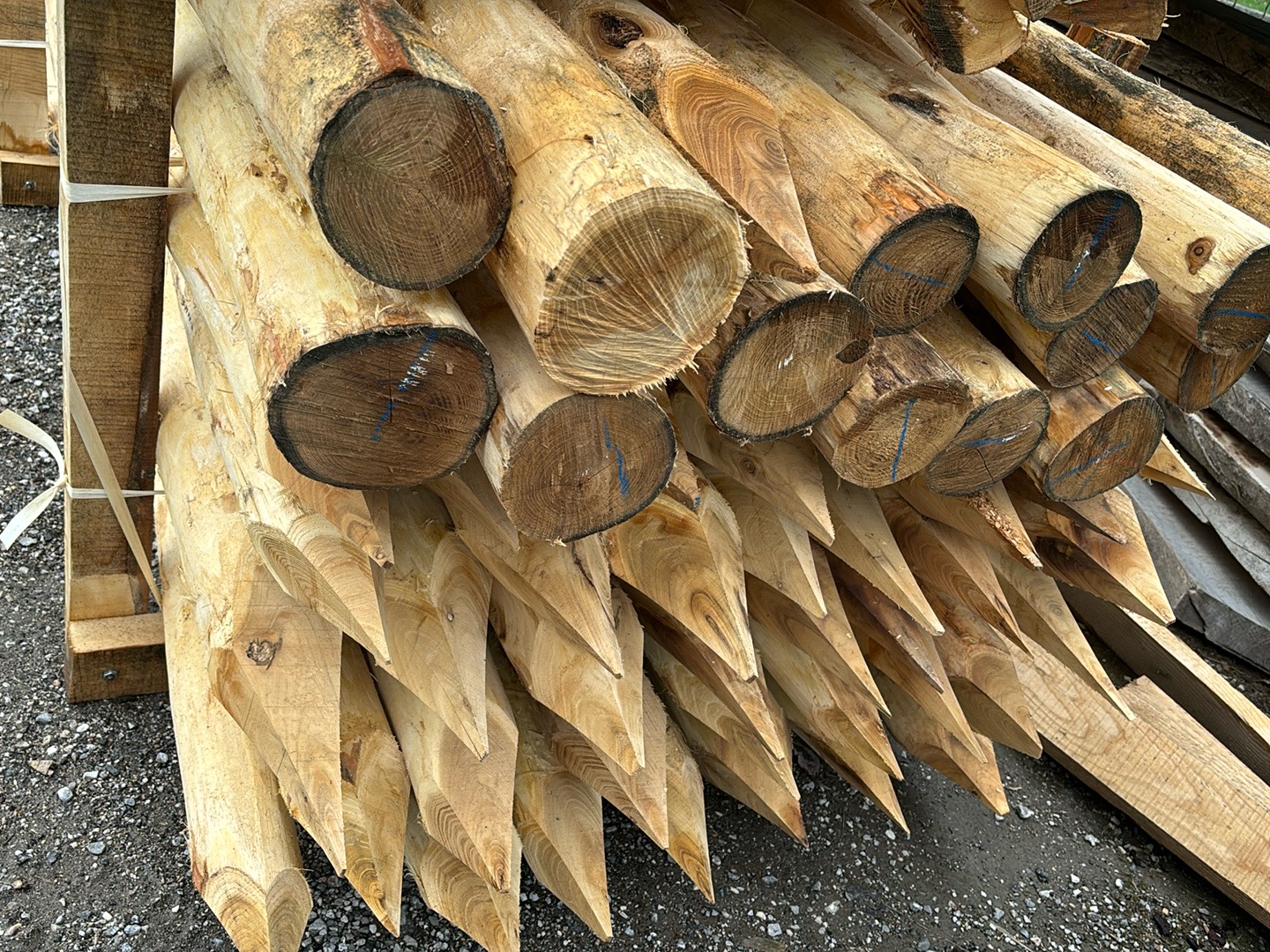 Bild 2 von Anzeige: Akazien/Robinien Pfähle