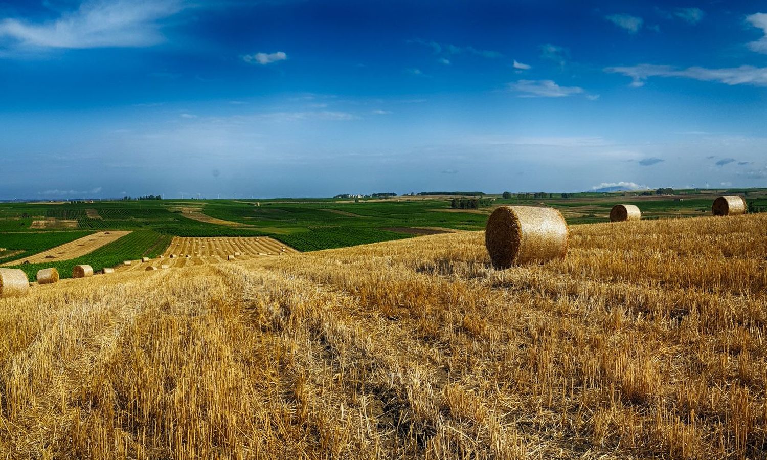 Landwirtschaft Sizilien