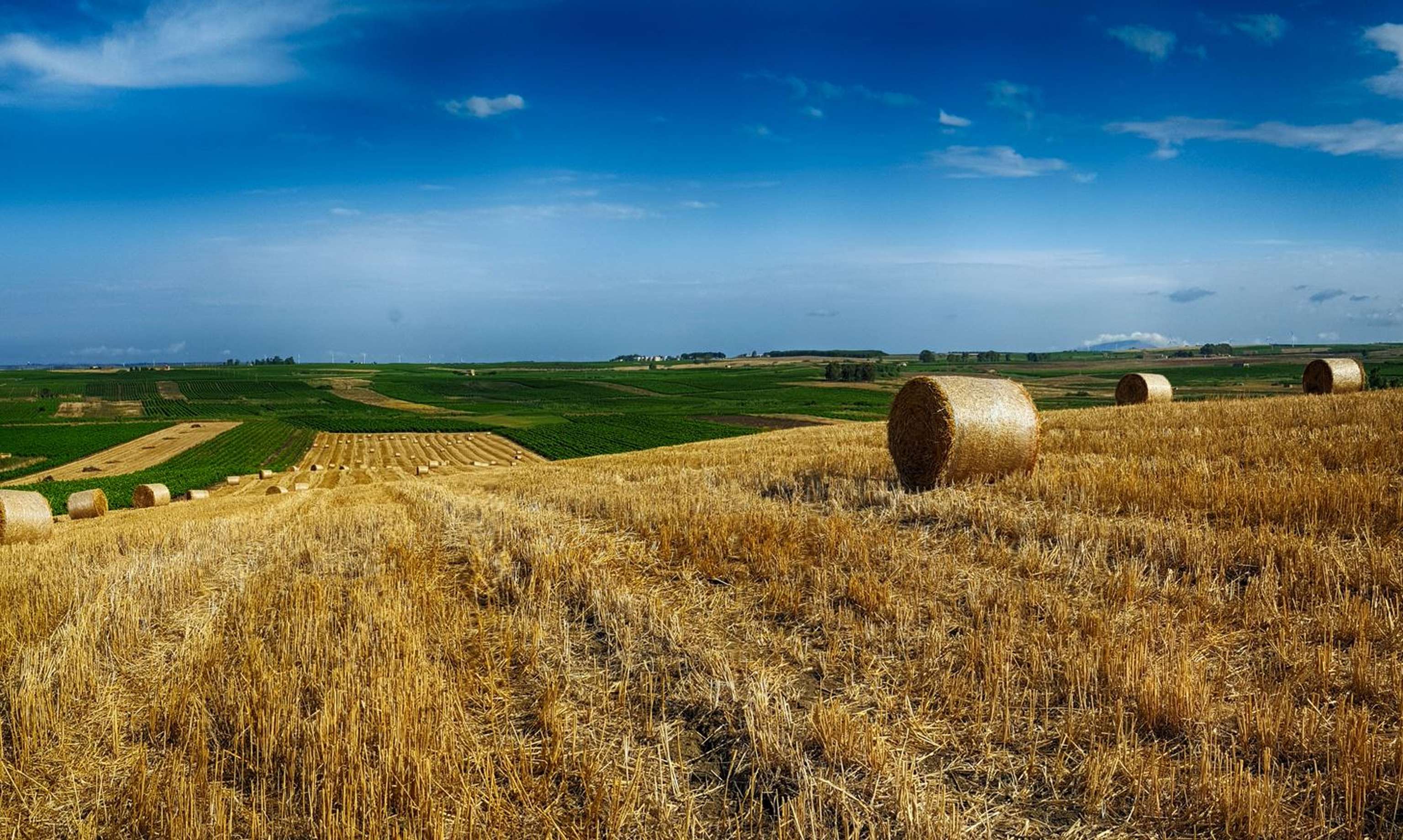 Landwirtschaft Sizilien