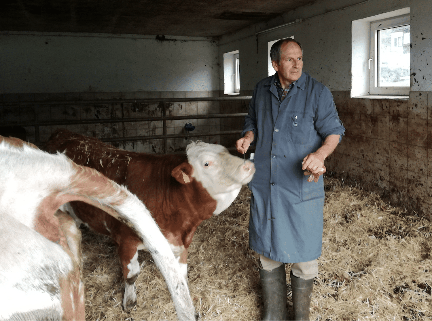 Tierarzt Michael Schartel hat über 25 Jahre Erfahrung als Gemischt-Praktiker.