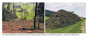 Ein leider häufiges Bild: Der Bestand wurde mit dem gesamten Nadel- und Astmaterial geerntet – daneben der Wiedhaufen.