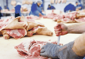 Fleisch