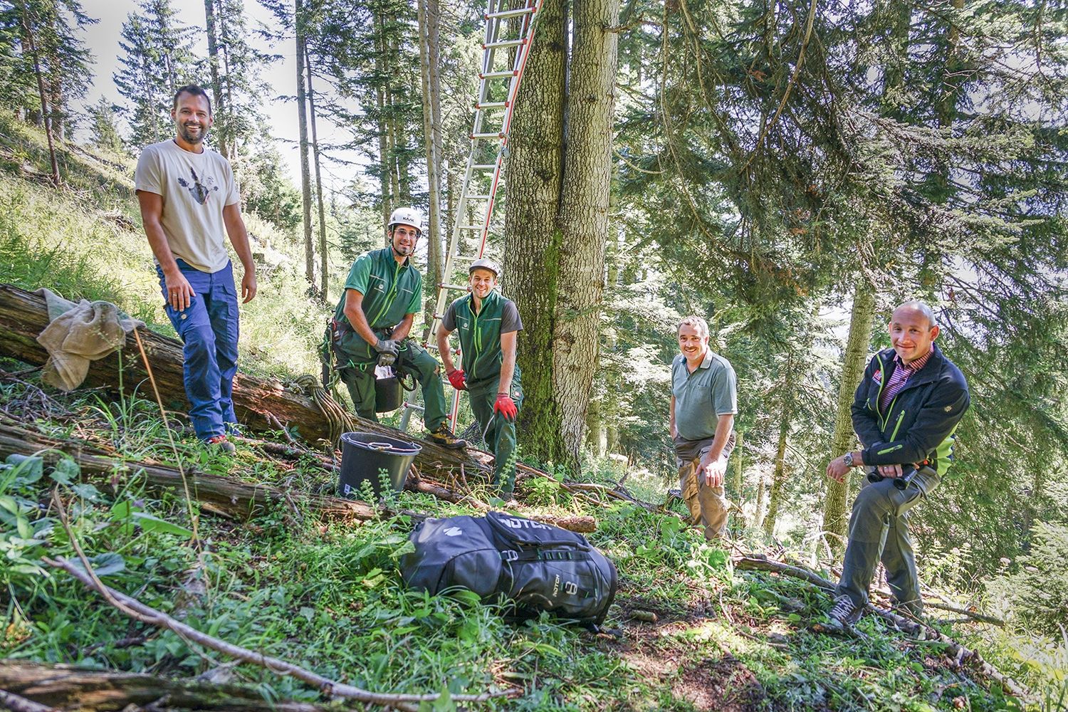 Christian Annewanter von den Landesforstgärten Tirol (r.) mit Sven Langner, Maschinering-Forstdienstleistungen, den Baumkletterern Christian Früh und Peter Gruber und Waldaufseher Andreas Hell (v. l. n. r. ) im Erntebestand in Innsbruck.