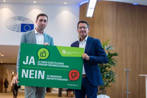 Bernhuber und Huber im EU-Parlament 2026