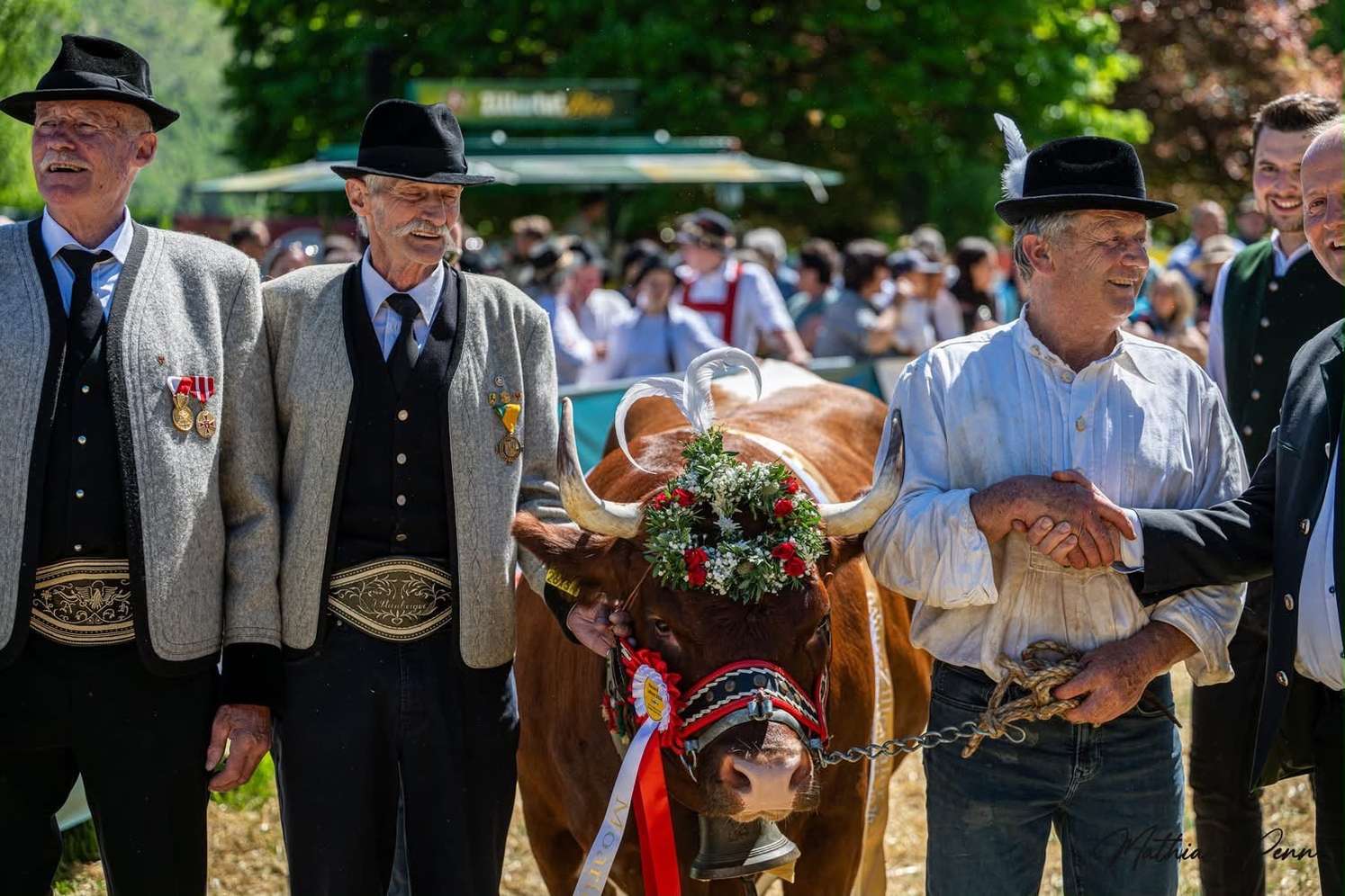 Männer in Tracht mit Medaillen führen eine geschmückte Kuh mit Blumenkranz und Glocke bei einem Almfest.