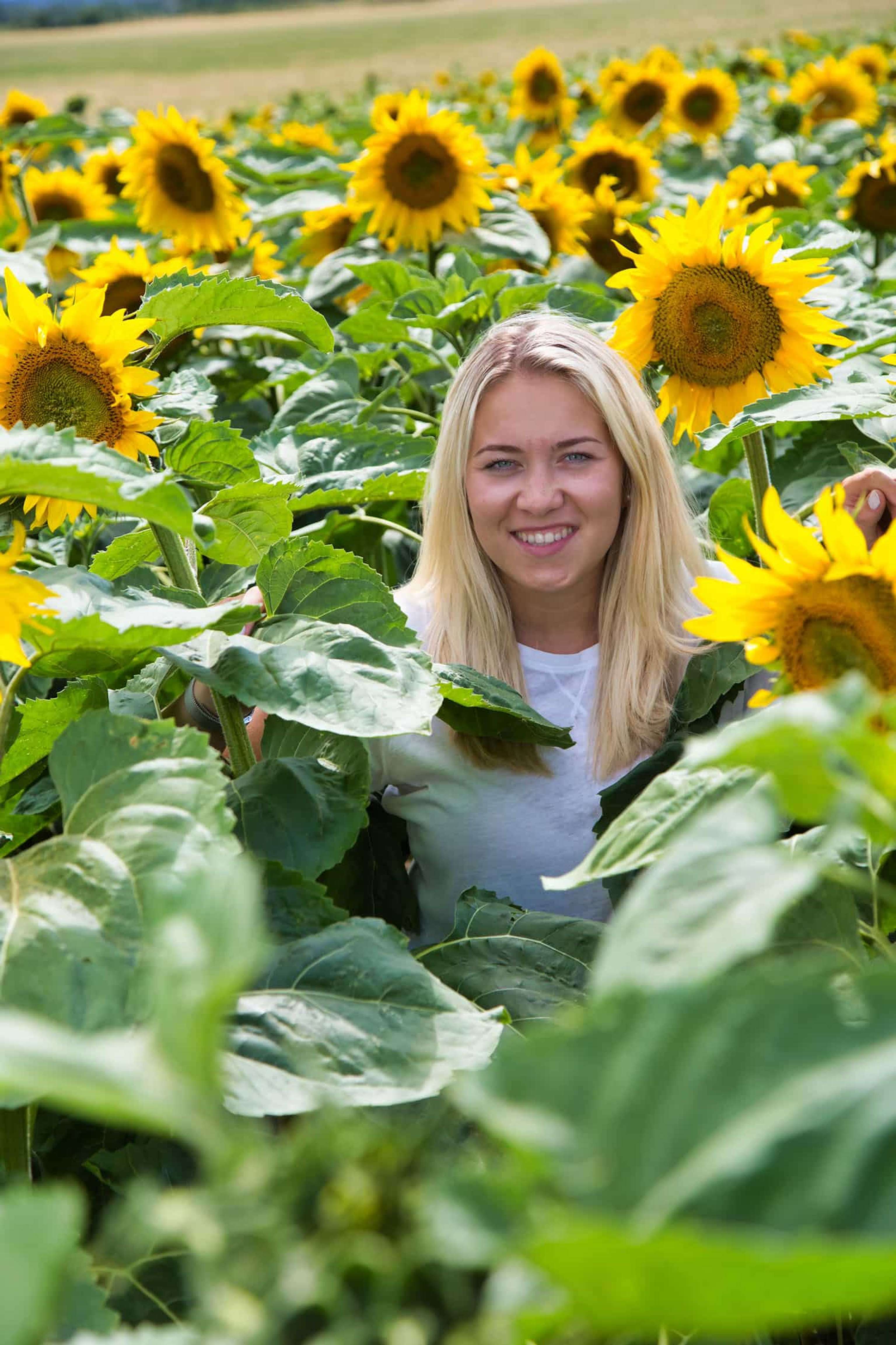 Die Sorten der Saatbau Linz decken unterschiedliche Einsatzbereiche ab.