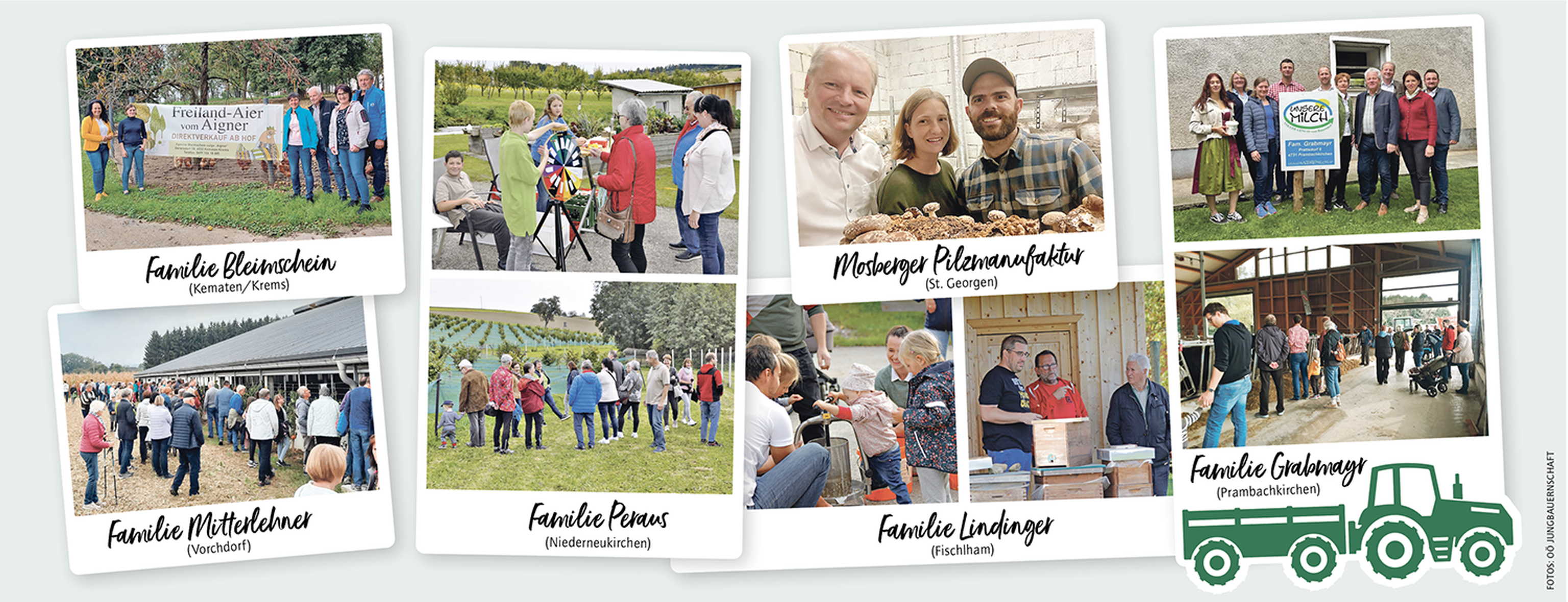 Web Open Bauernhof