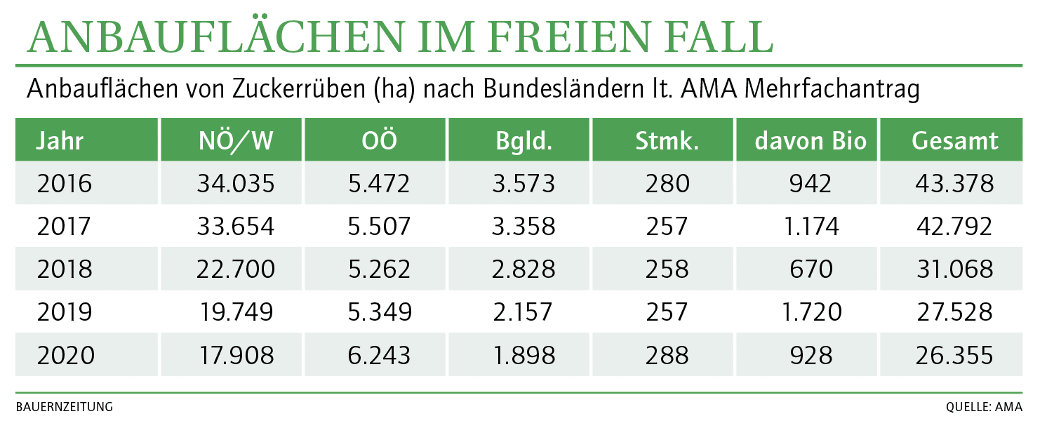 Anbauflächen im freien Fall
QUELLE: AMA
Grafik: BZ