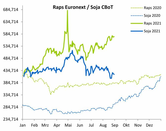 2135 01 Raps