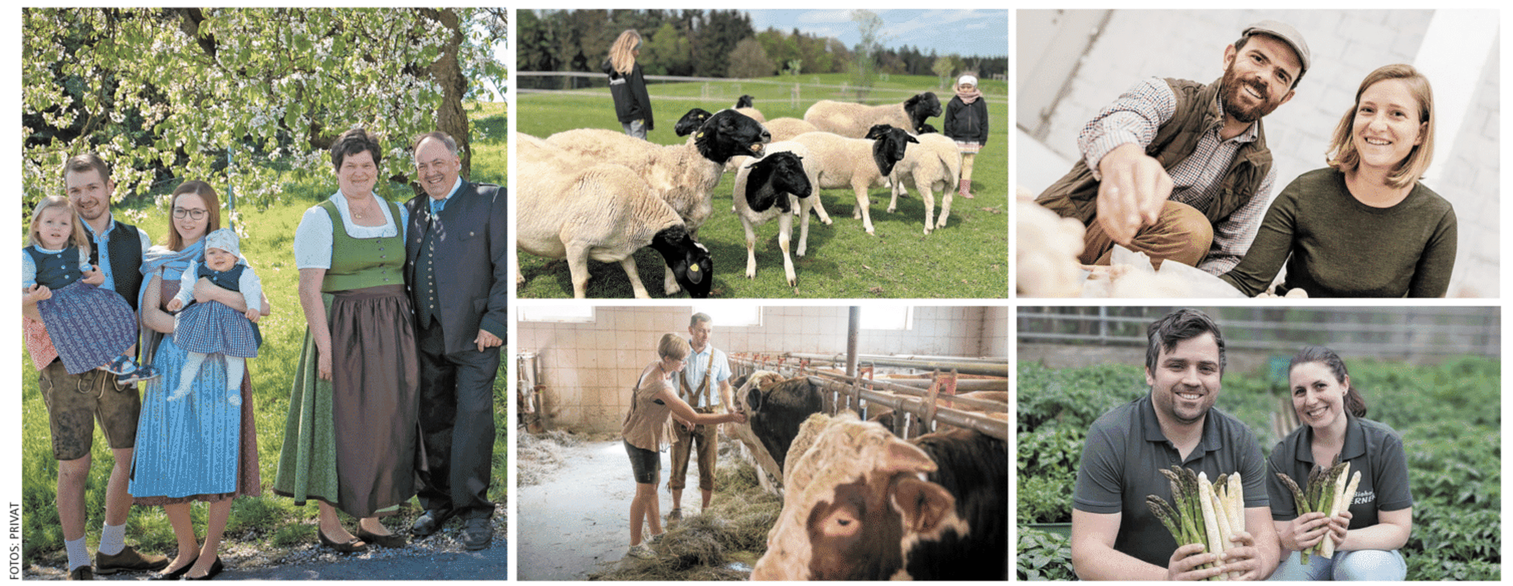 Bildschirmfoto 2024 05 07 Um 15.19.19