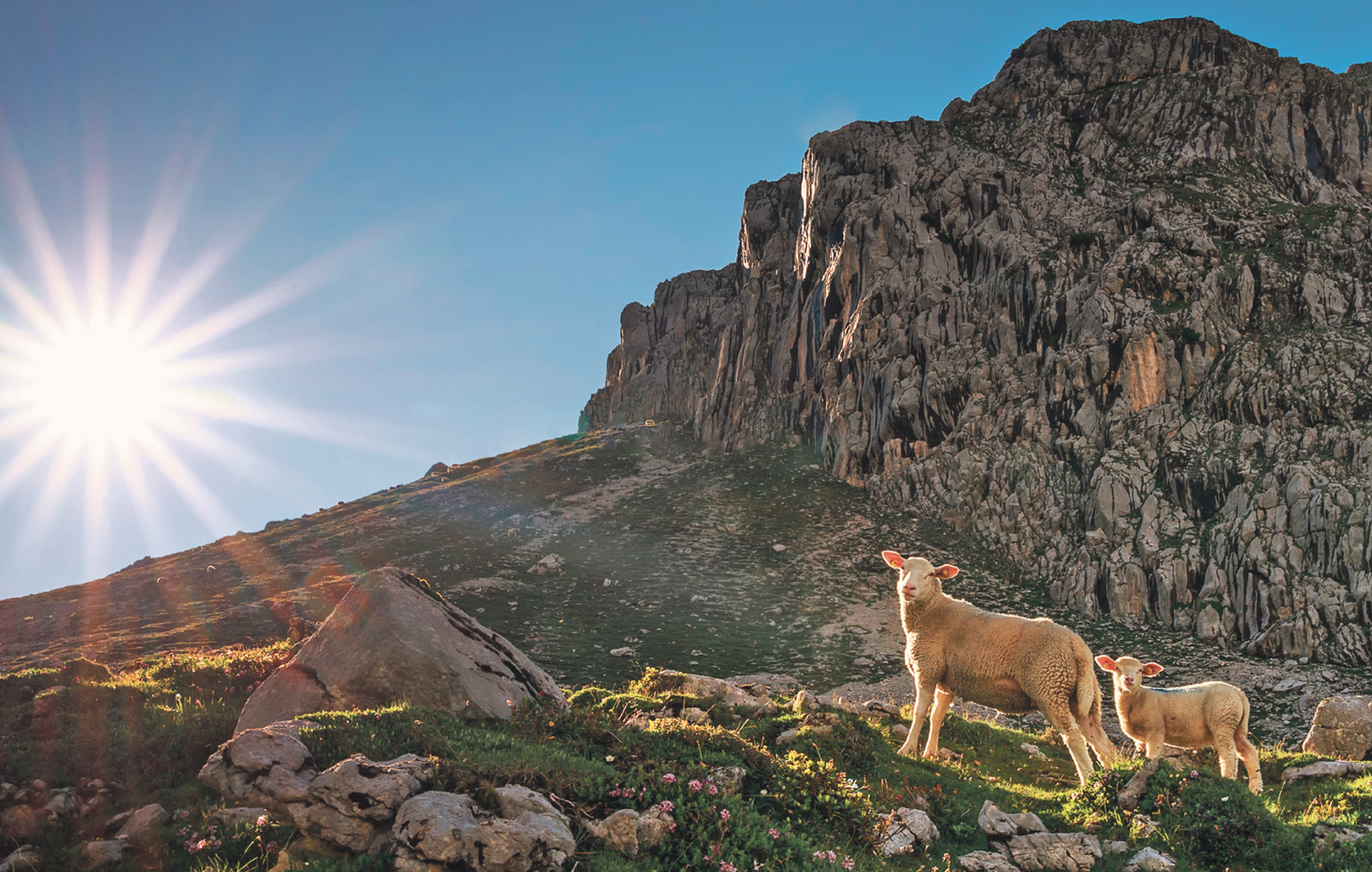 Bildschirmfoto 2022 06 14 Um 14.11.29