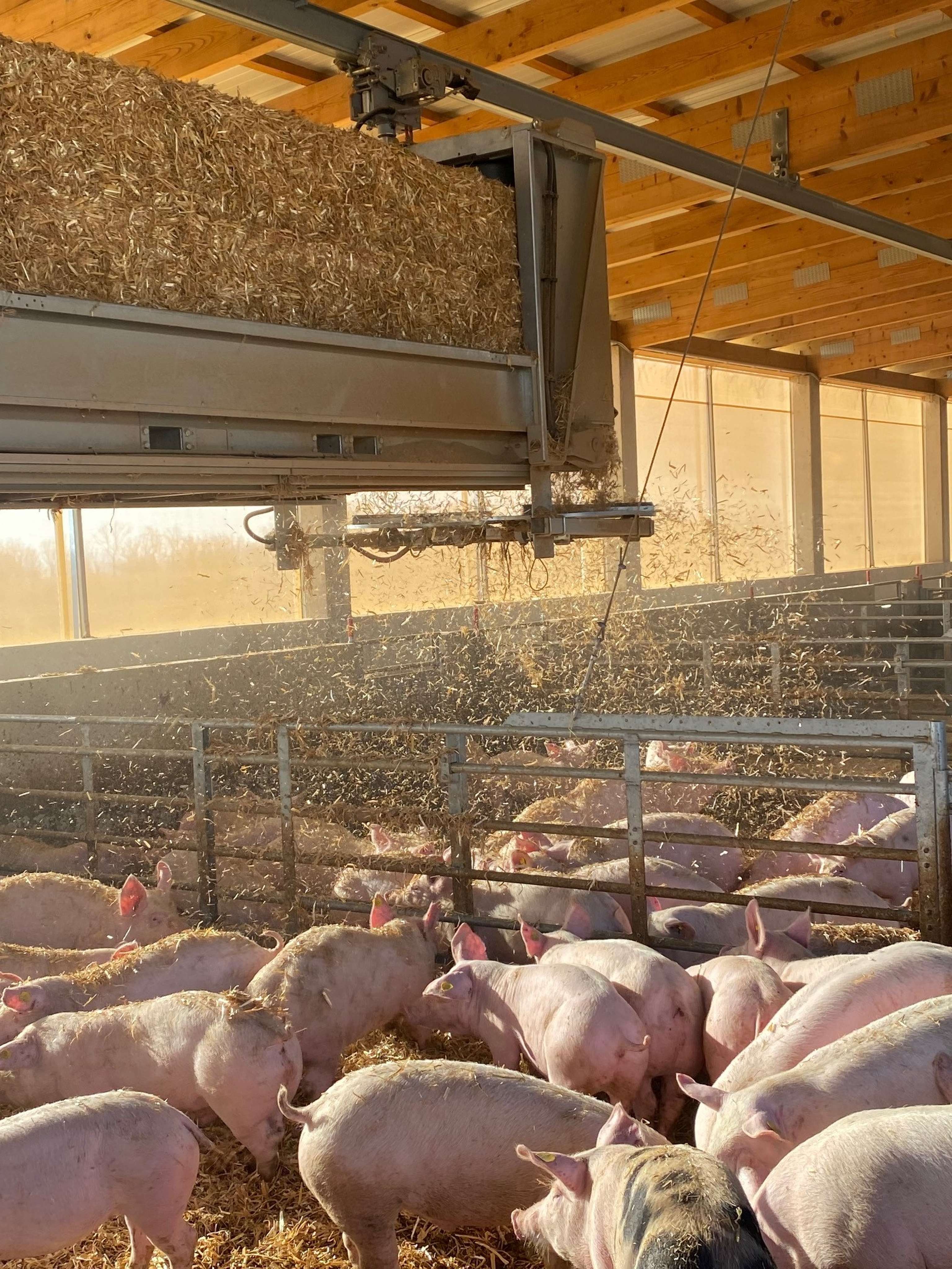 01 Jungmair Foto (3)