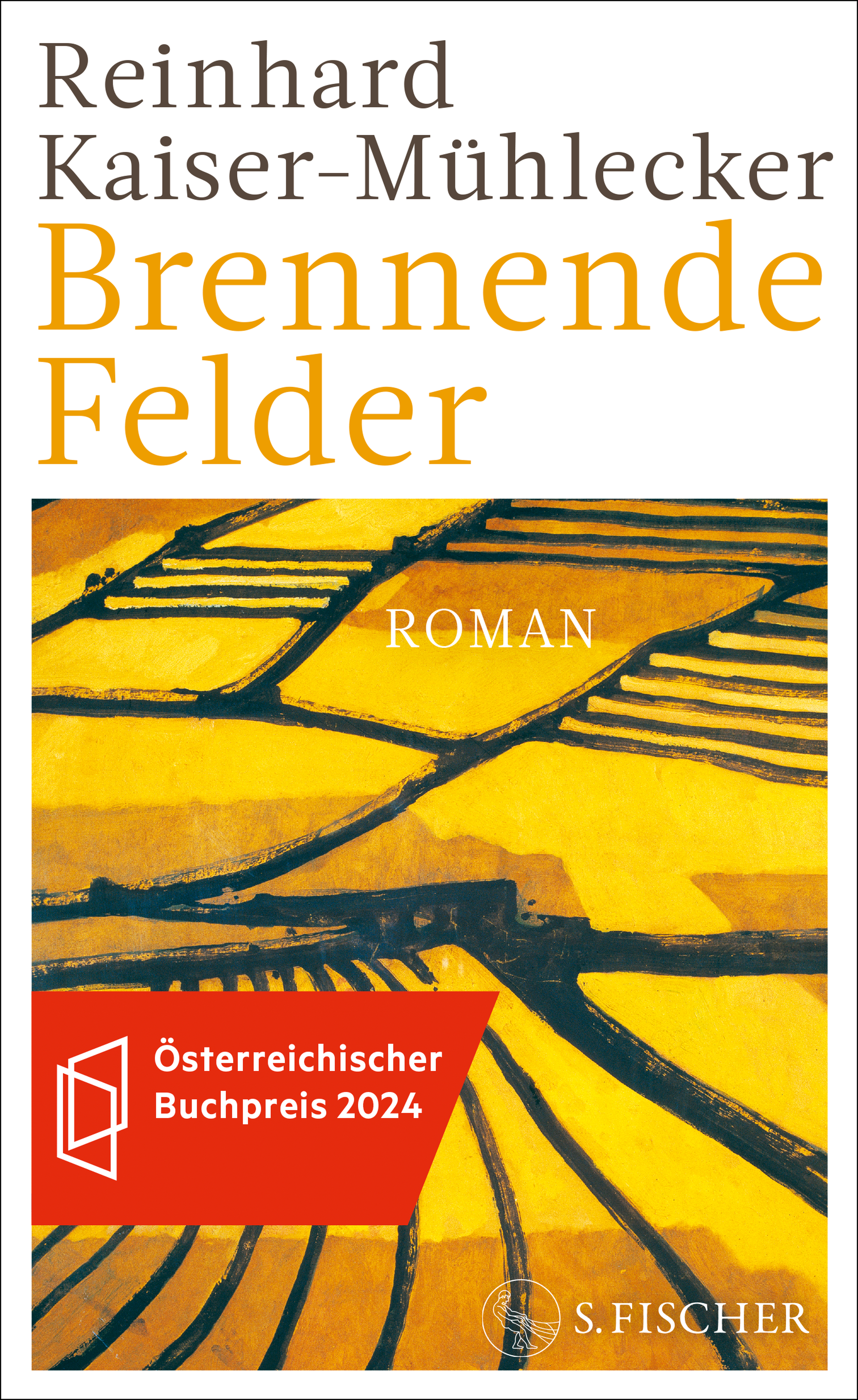 Buchcover Brennende Felder