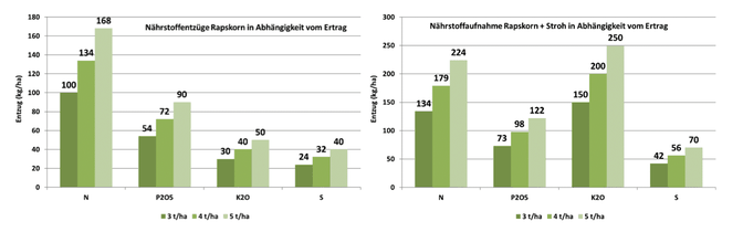 Borealis_Nutriguide_Content_-SEO_article_2021_Sept9.png