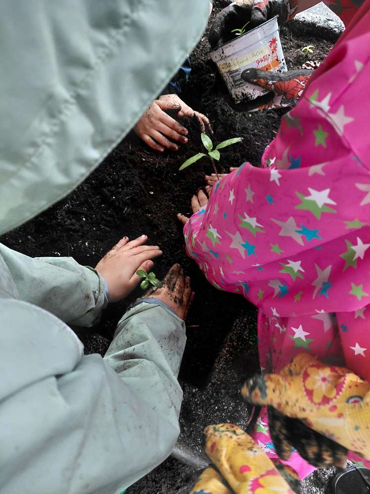 Kinderhände pflanzen ein kleines Setzling in Erde. Bunte Kleidung und ein Topf sind ebenfalls zu sehen.