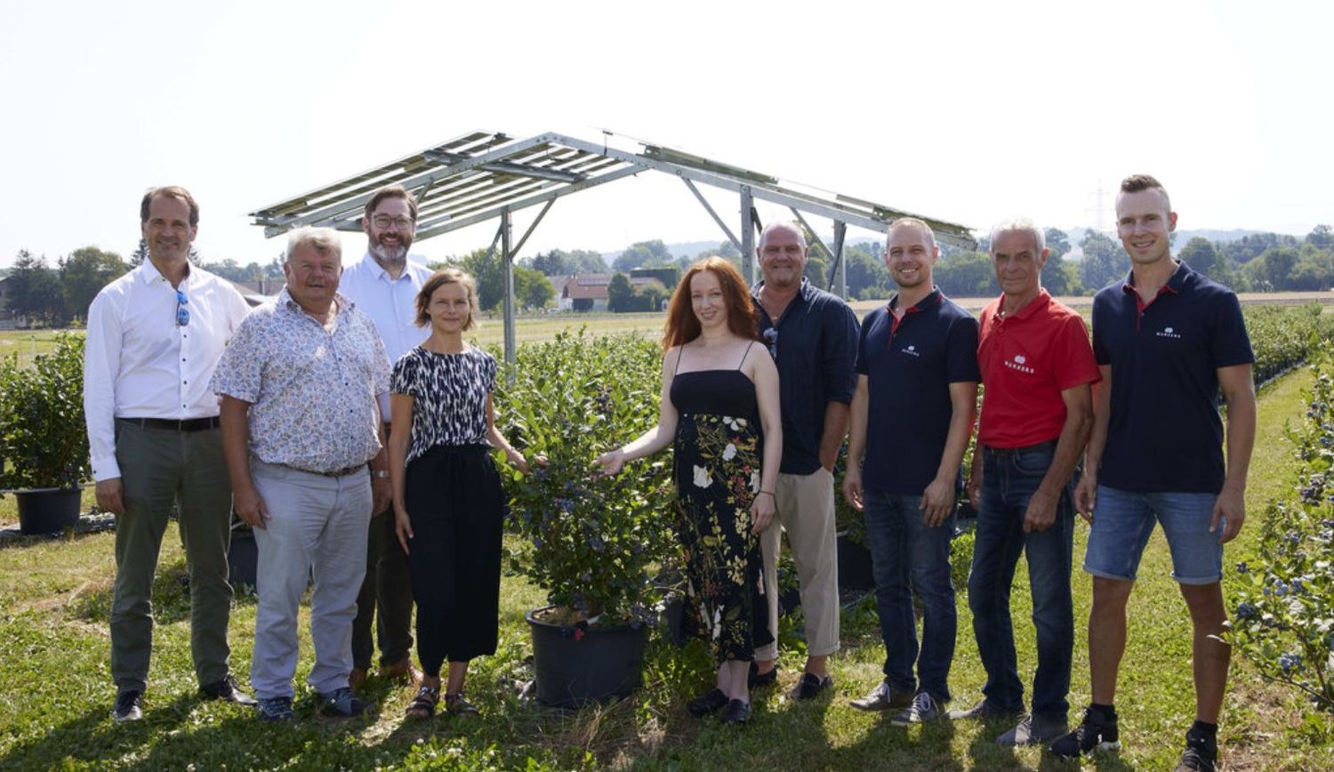 Pionierprojekt mit Heidelbeeren in Österreich.
