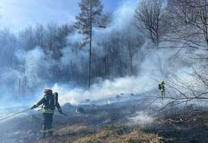 Waldbrand