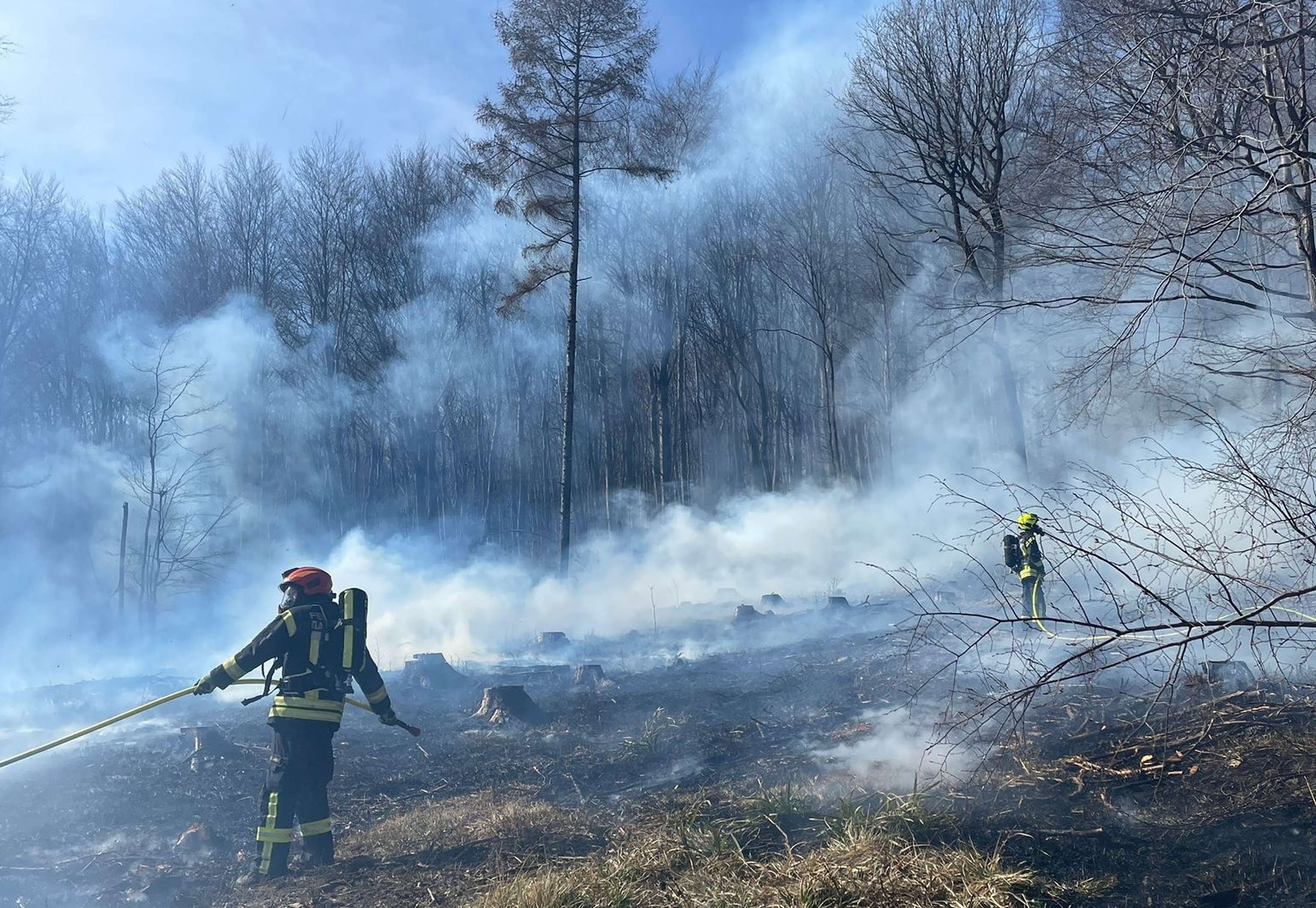Waldbrand