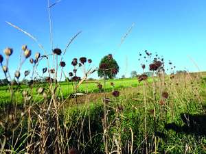 Natur