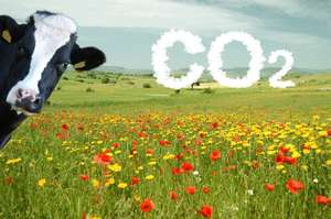 CO2-Ausstoß
