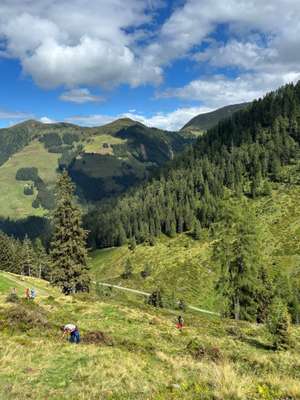 Alpine Berglandschaft mit grünen Wiesen, Nadelwäldern und Wanderern auf einem Pfad unter blauem Himmel mit weißen Wolken.