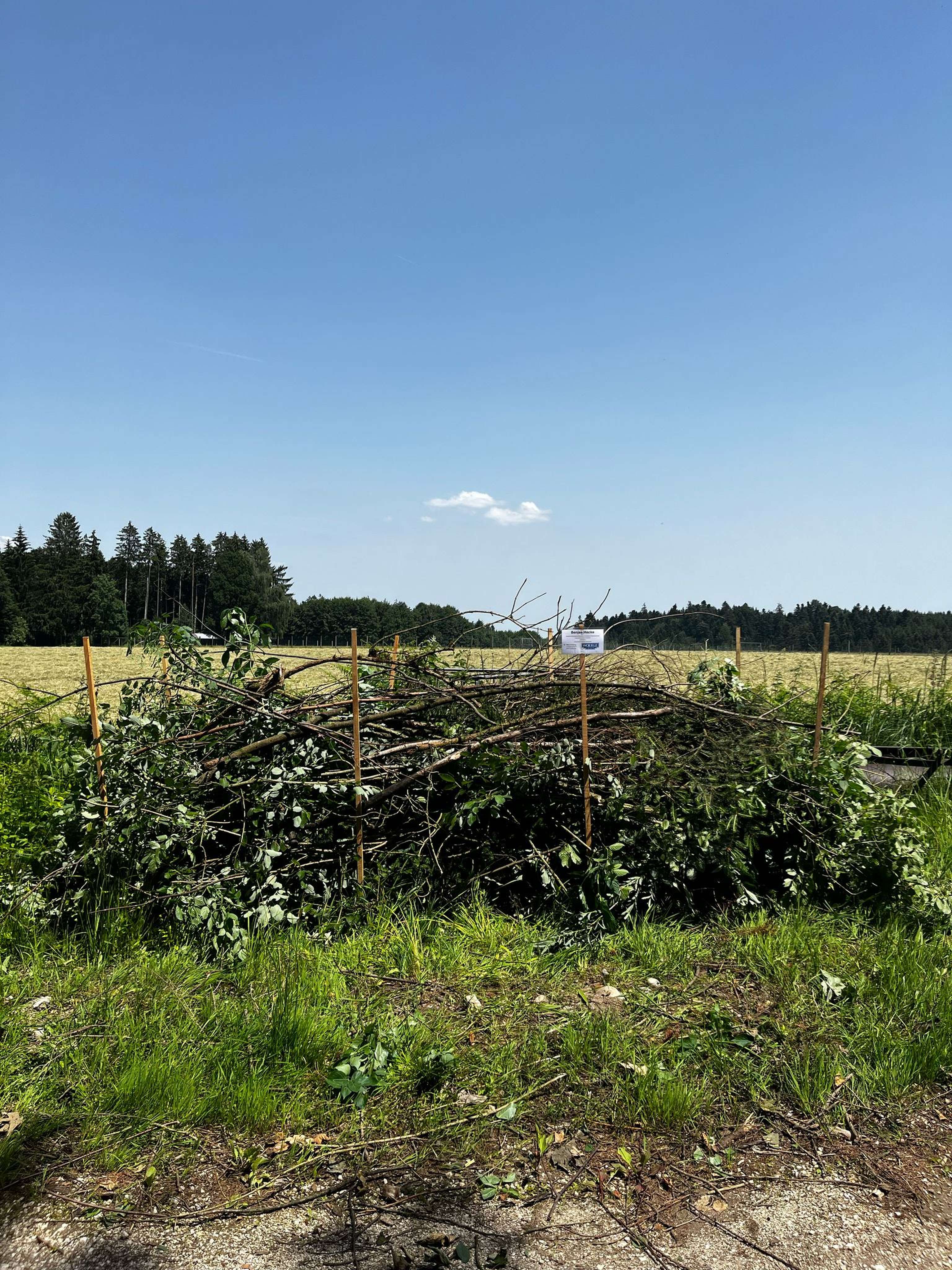 Benjes-Hecke am Betrieb Sulzberger