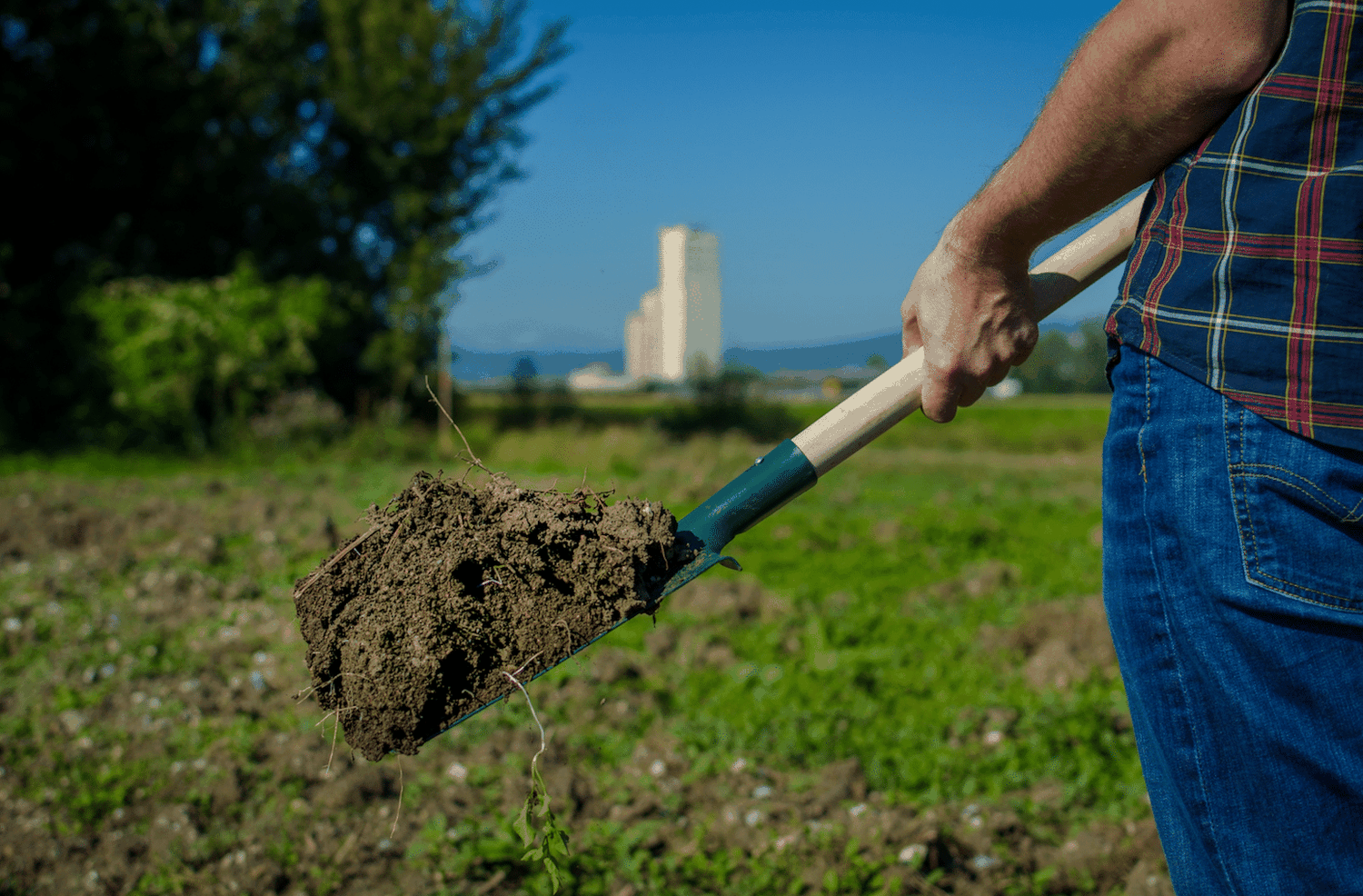 Fördern Landwirte den Humusaufbau, sollen sie künftig für diesen Beitrag zum Klimaschutz mit dem von Lagerhaus und RWA neu initiierten Programm „Zukunft Erde“ zusätzlich belohnt werden.