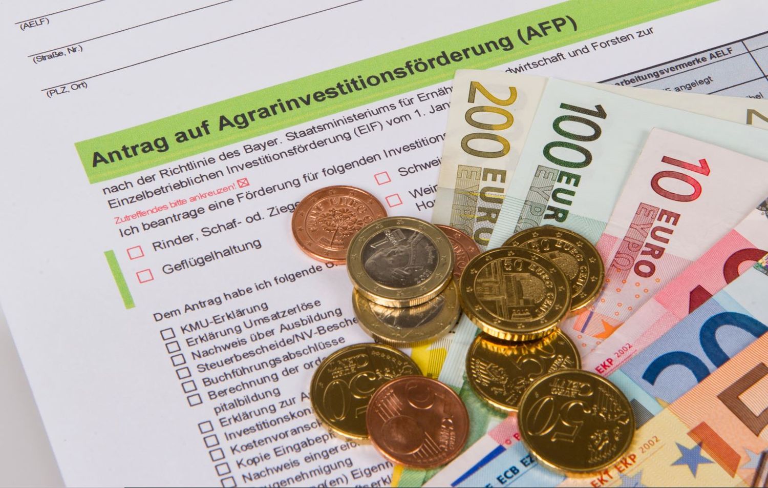 04_LEFoerderungKtn.jpg