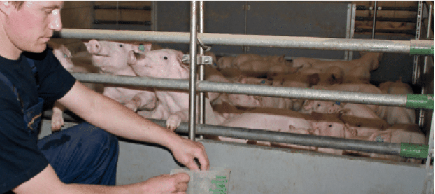 Täglicher Stallbesuch samt Tierkontrolle, aber auch Feld- oder Waldarbeiten, sind Landwirten während der Arbeitsquarantäne erlaubt.