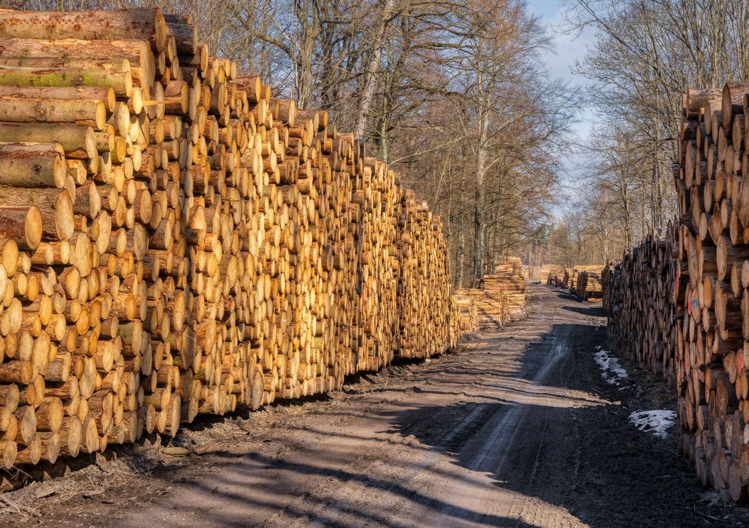 Holzpolter