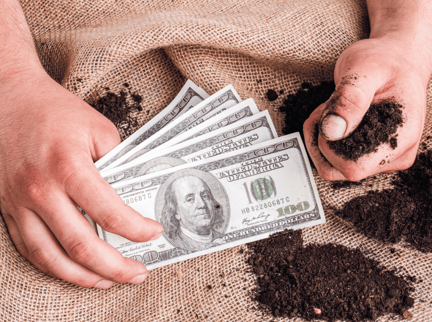 Die neue US-Regierung will eine „klimafreundliche Kohlenstoffbank“ schaffen, um die Farmer für nachhaltige, humusmehrende Praktiken zur CO2-Anreicherung im Boden zu bezahlen. Foto:-denisproduction.com – stock.adobe.com