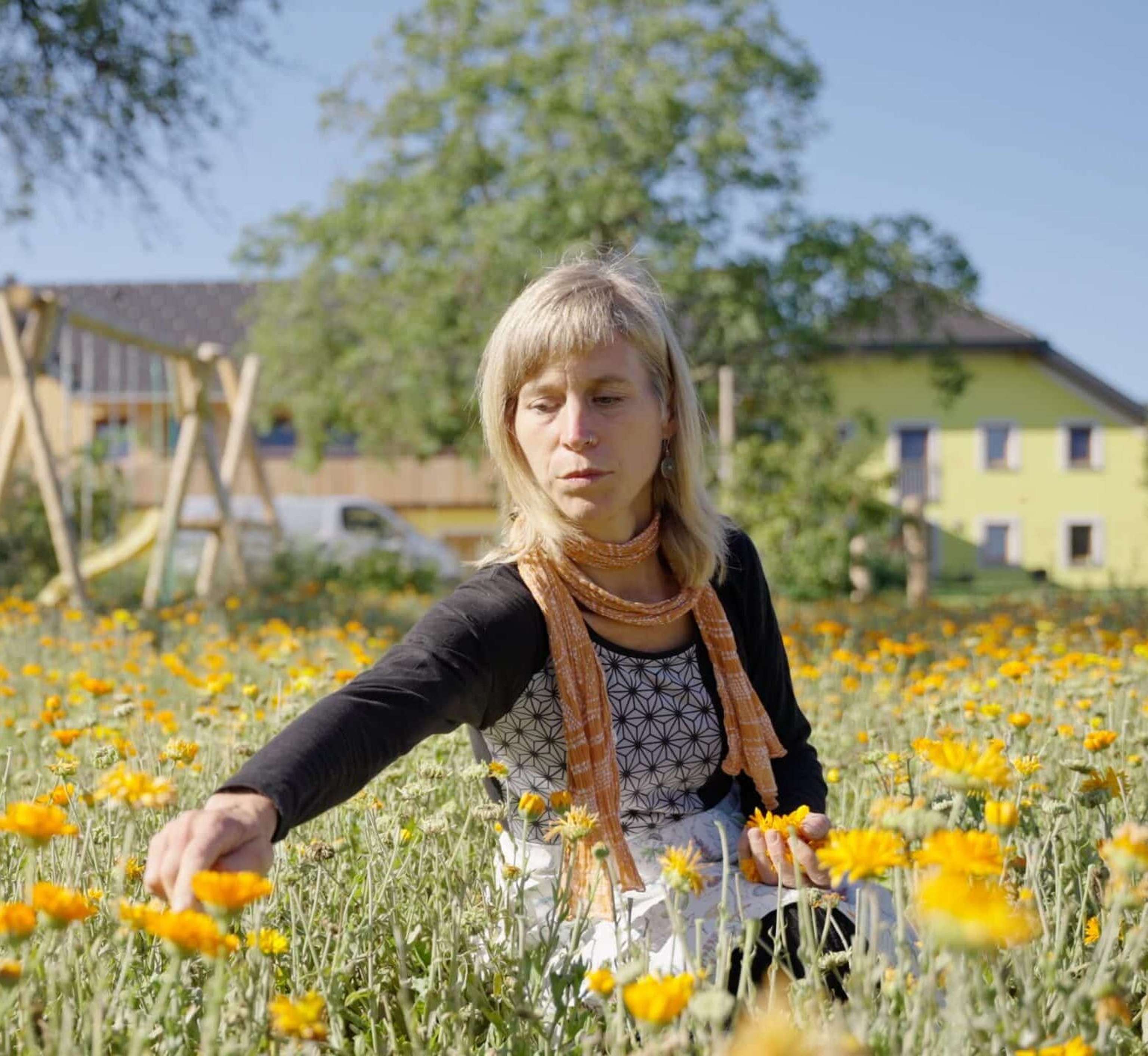 Kräutersammeln UaB Daniel Gollner