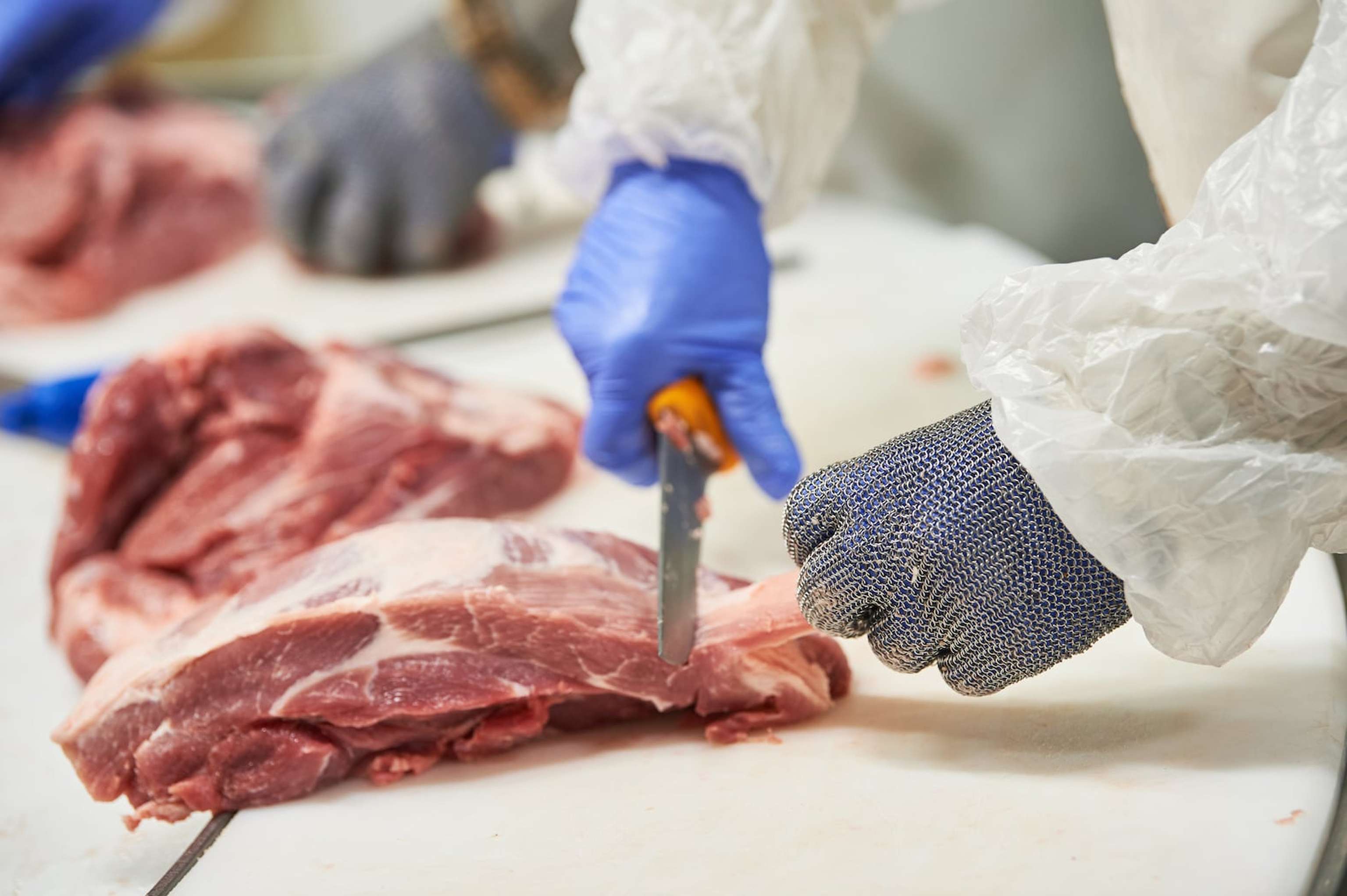 Meat Factory. Food Production