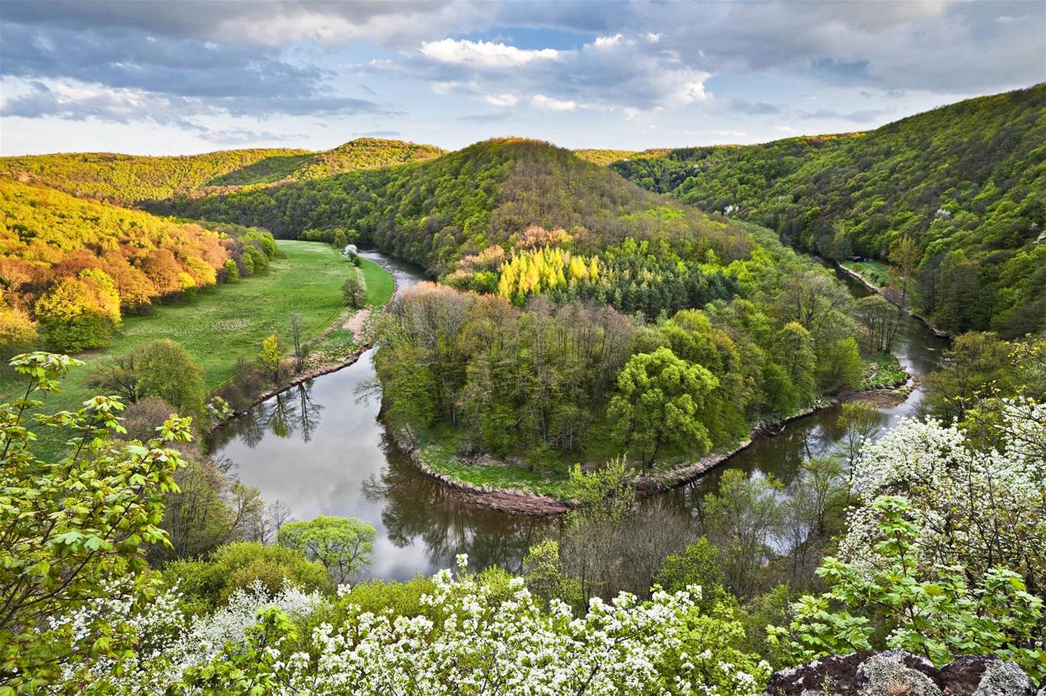 Der Nationalpark Thayatal ist eines der artenreichsten Schutzgebiete Österreichs und verbindet eindrucksvolle Wildnis mit grenzüberschreitendem Naturschutz.