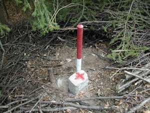 Grenzstein mit Pflock im Wald