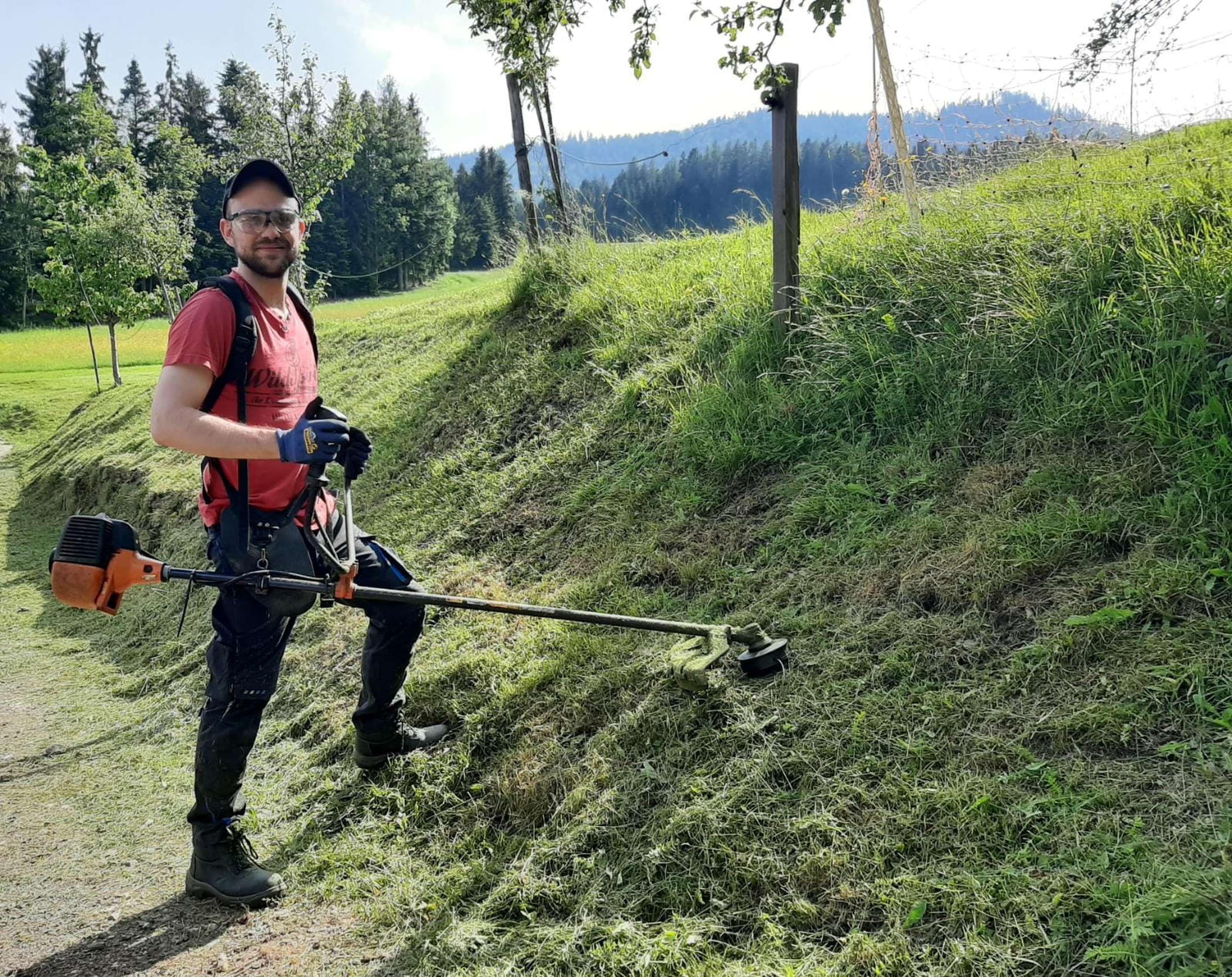 Tristan beim Mähen.