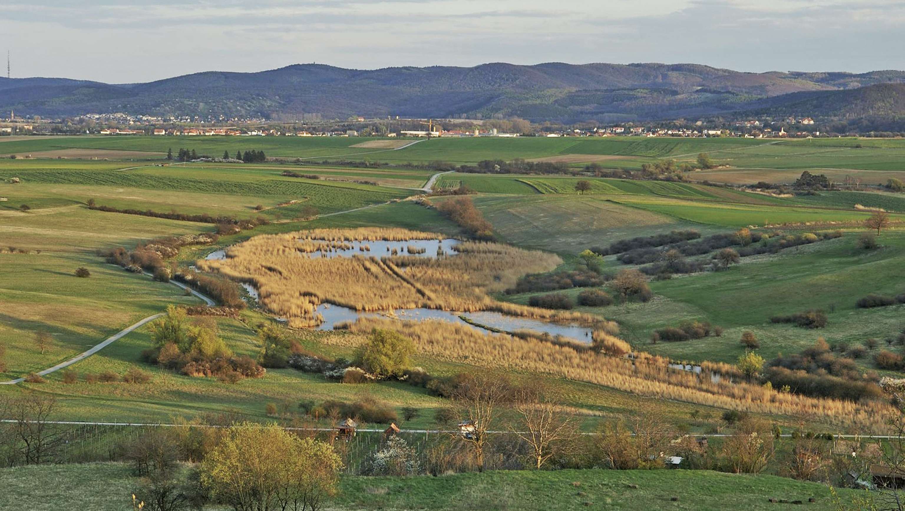 Naturpark Rosalia-Kogelberg