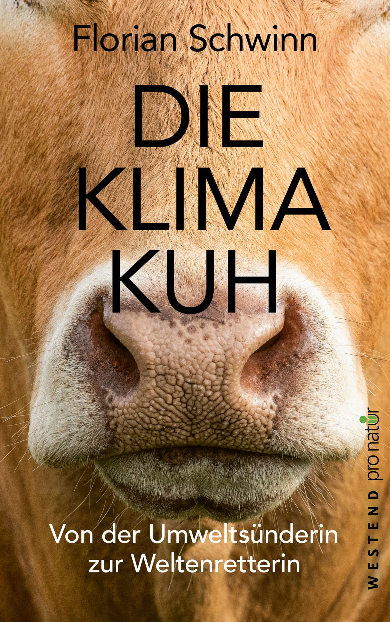 Der Autor räumt mit dem schlechten Image der Kuh auf.