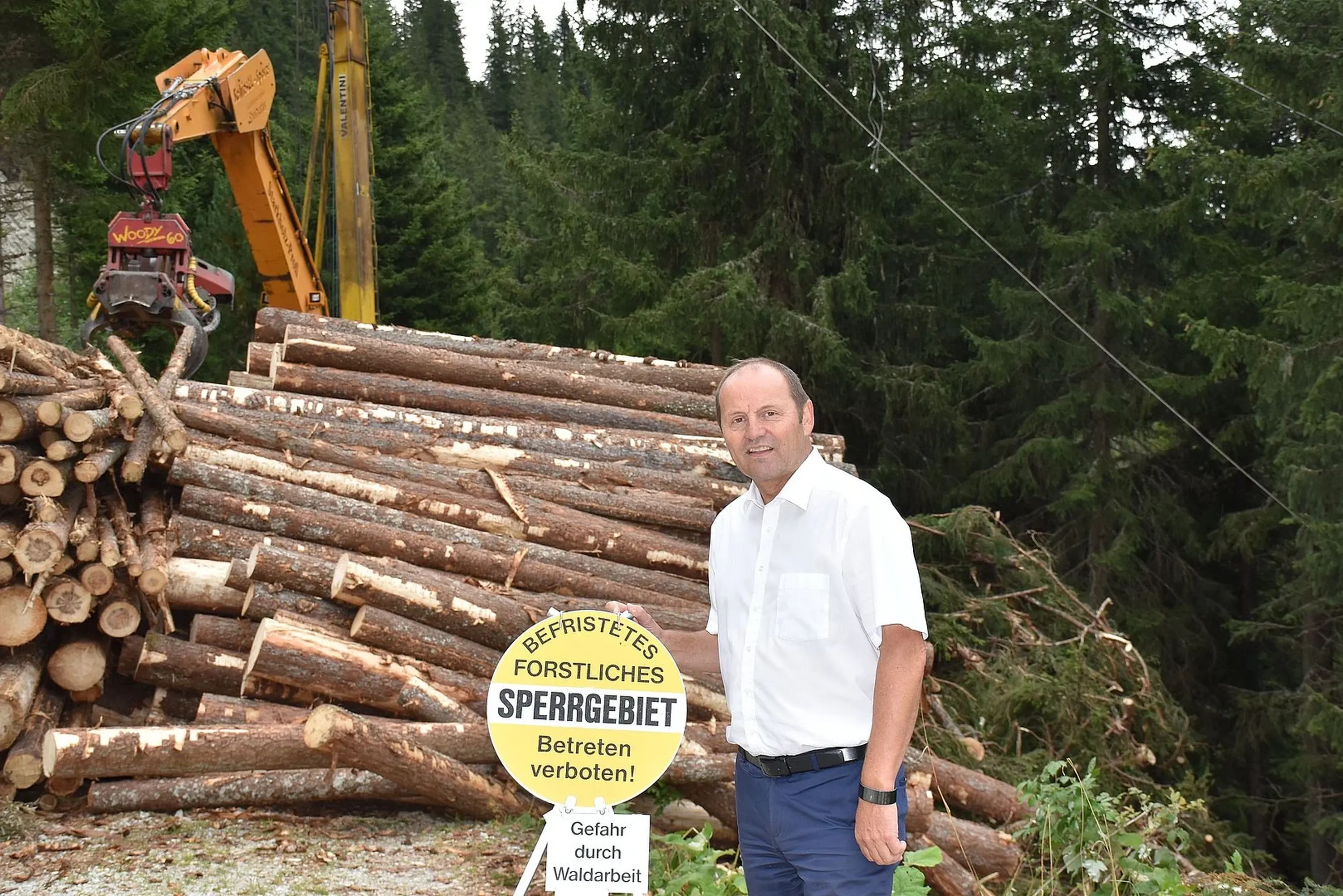 Wegsperren Forst