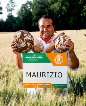 Maurizio glänzt mit guten Hektolitergewichten.