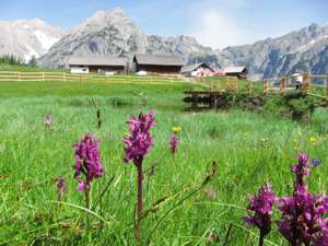 Walderalm
