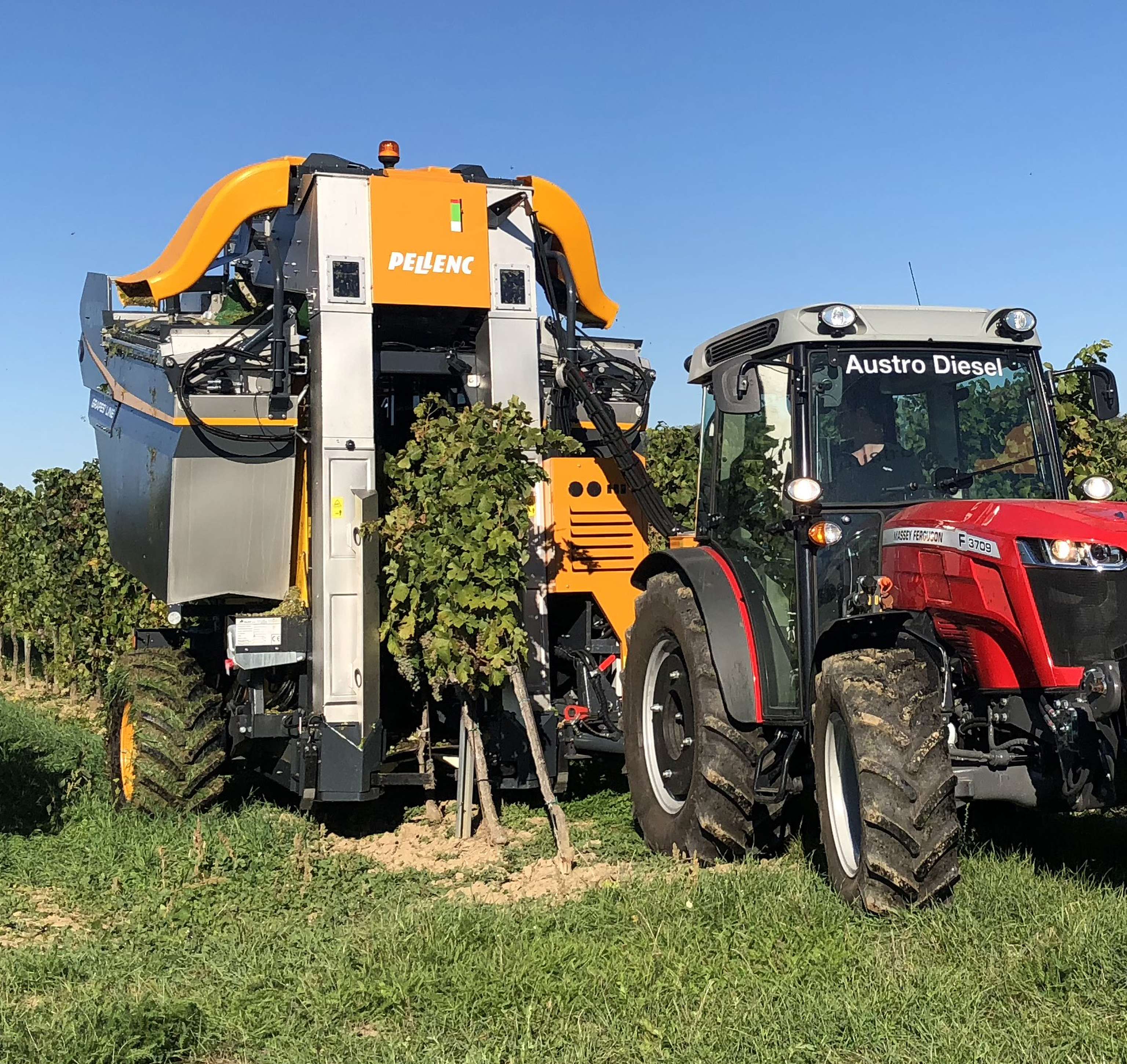 Die gezogene Erntemaschine Grapes’ Line