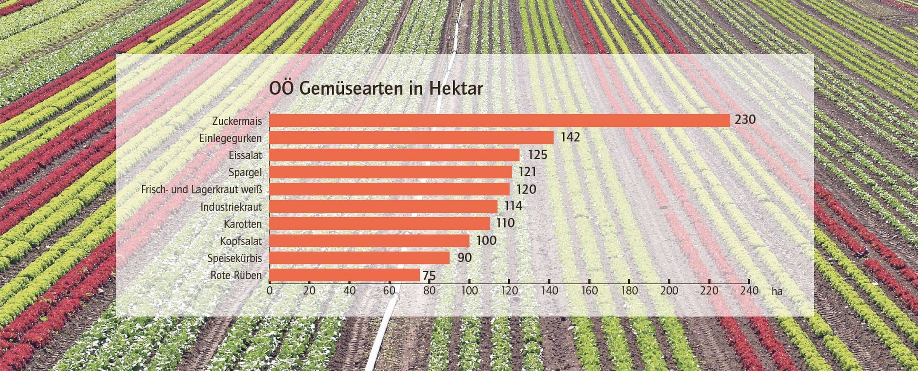 {D5D2B42E 5350 4919 A32B 6D30A3A9755D}.png