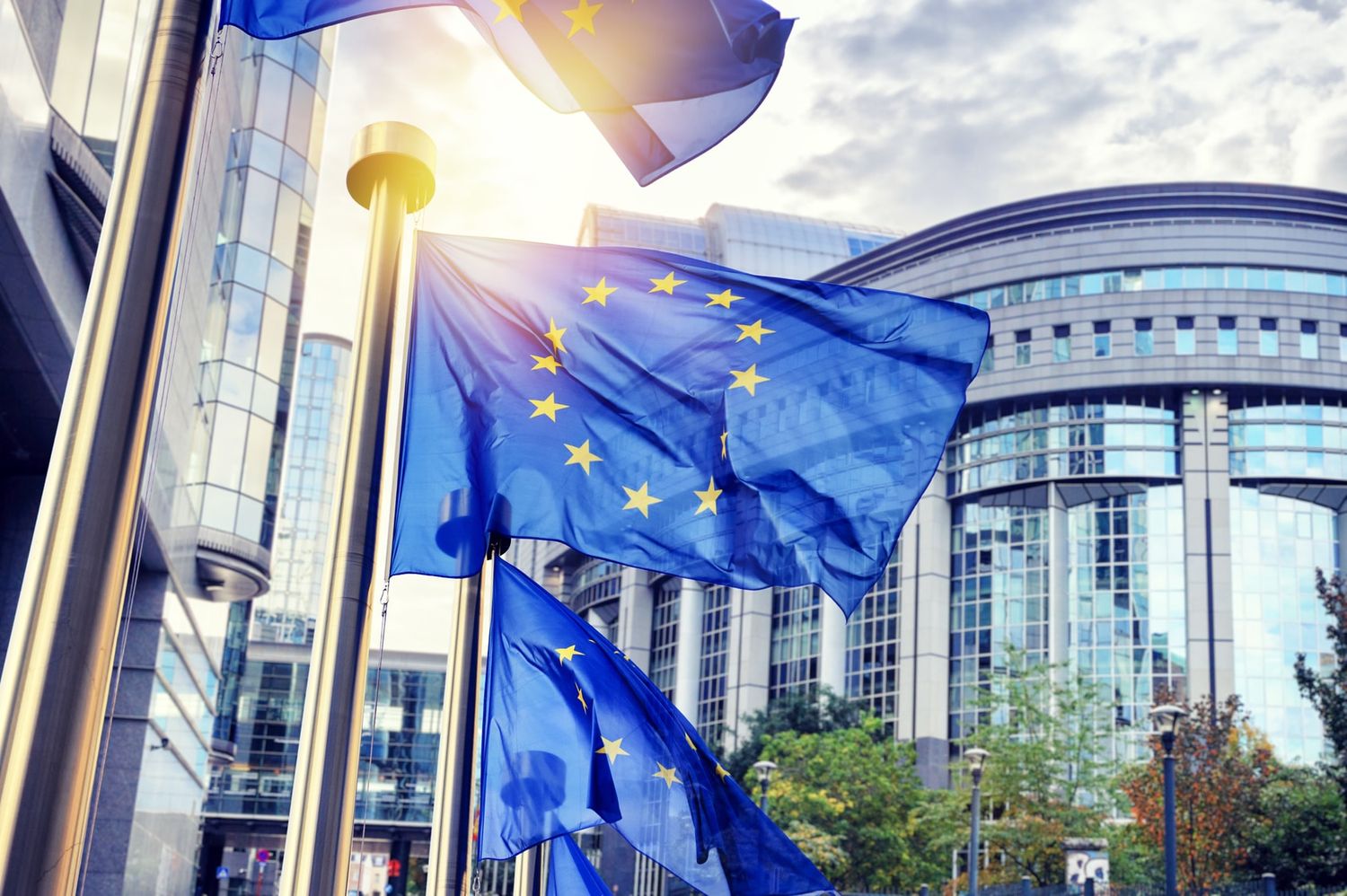 EU Flags Waving In Front Of European Parliament Building In Brus