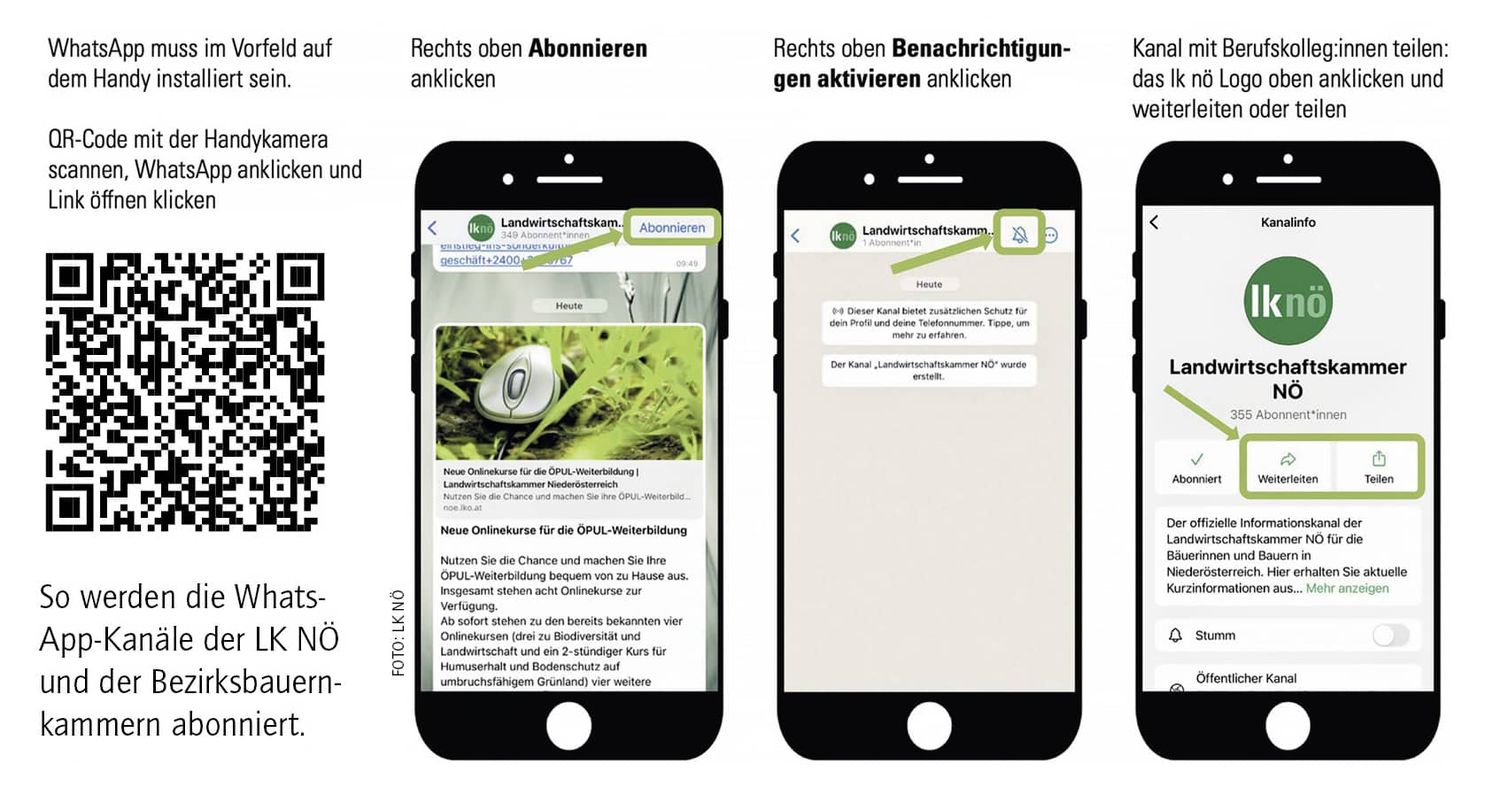Infos über WhatsApp