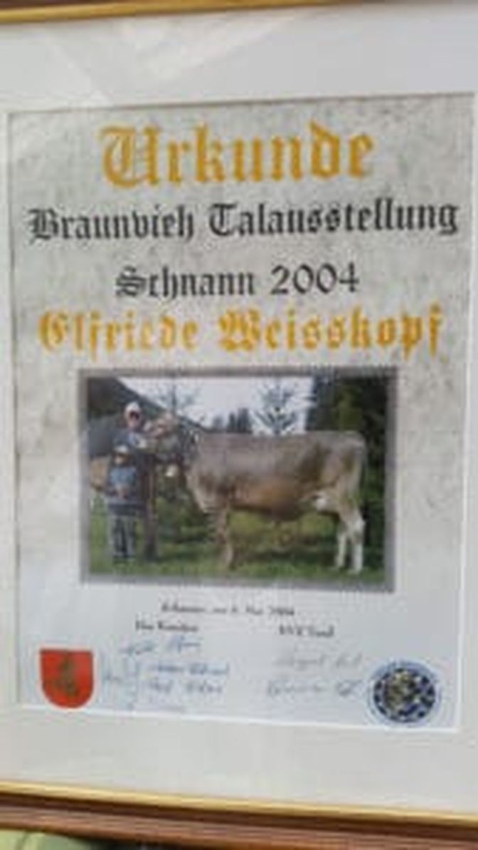 Ehrenurkunde