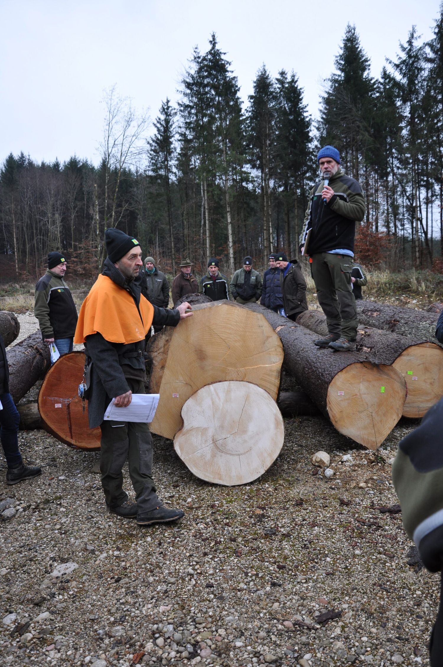 Stammanalyse Vor Ort